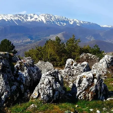 Vivi La Natura Pt *