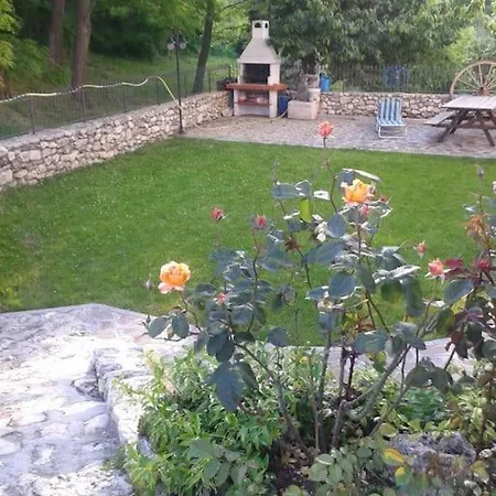 Vivi La Natura Pt *